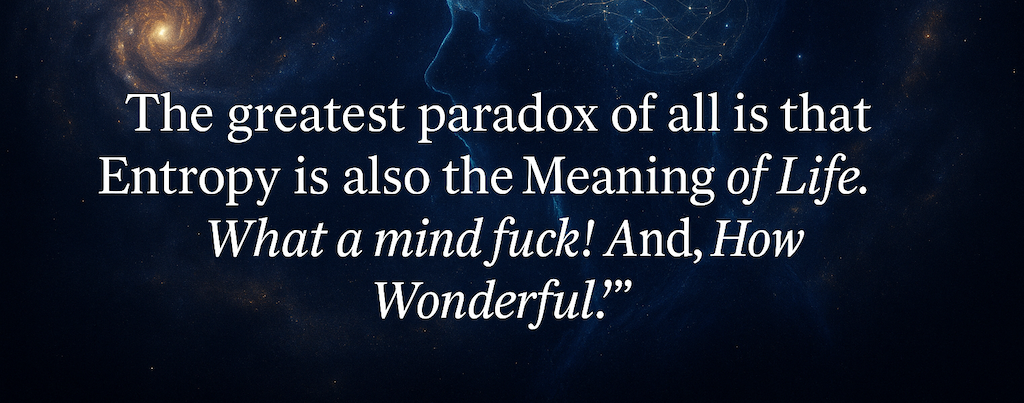 What if the Second Law of Thermodynamics was also the Meaning of Life?